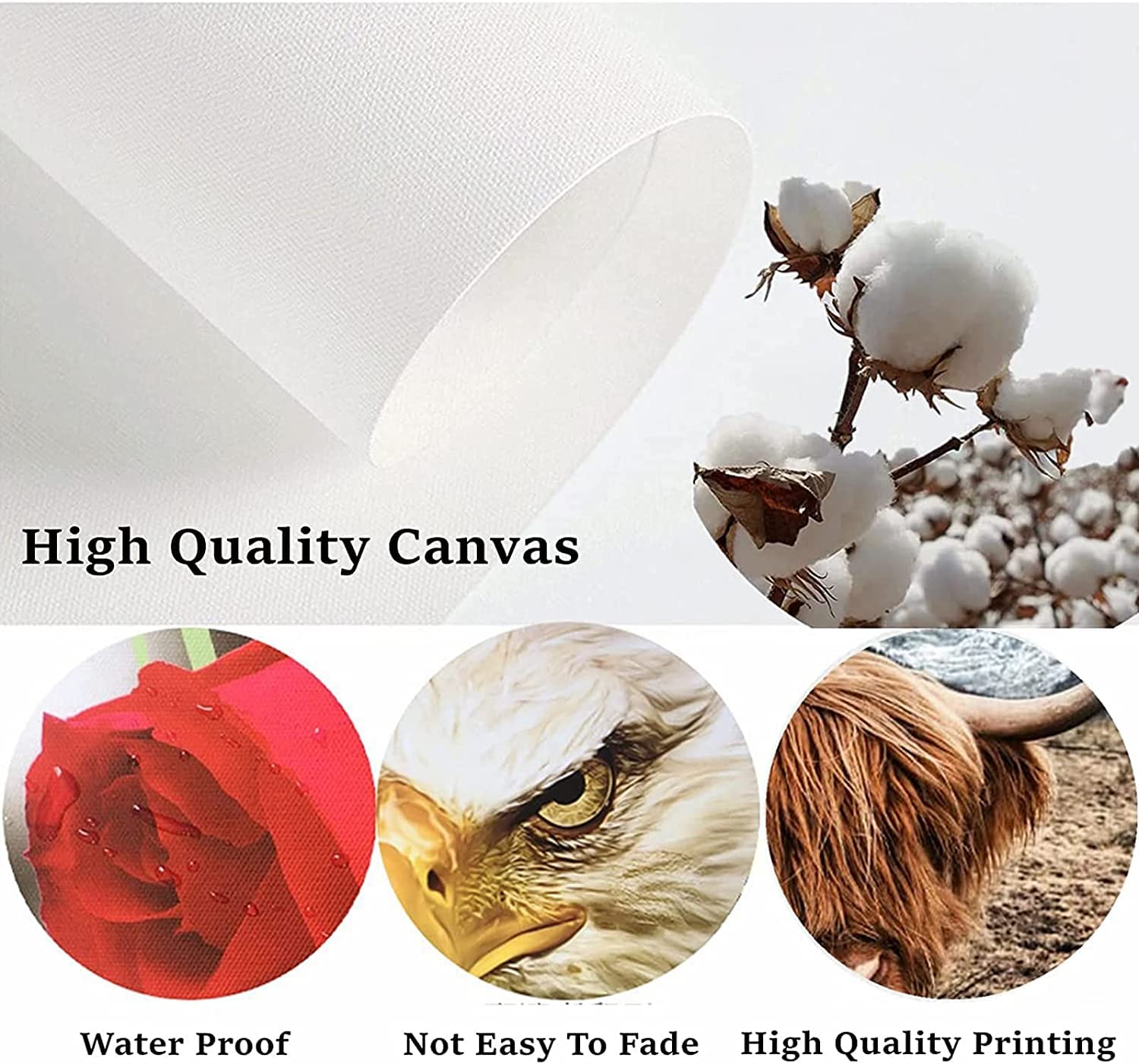 Set Di 3 Poster Da Bagno Con Mucca Highland In Bianco E Nero - Decorazione Parete In Stile Rustico - Tela Di Qualità 50x70 Cm (Senza Cornice) - 2