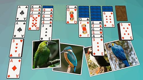 Solitaire Birds TV
