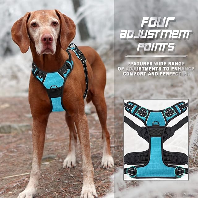 Foto 7 de 8 de BARKBAY Arnés antitirones con Clip Frontal para Perros, Material Resistente y Reflectante