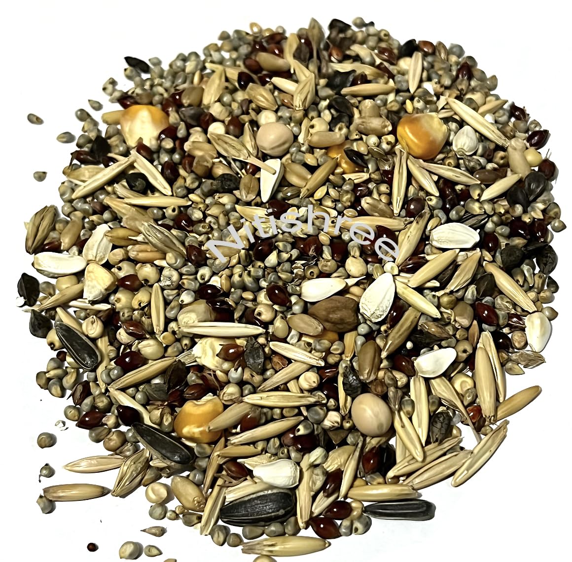 Nitishreeṣṣ® Premium Seed Blend of 13 Grains & Nuts, Bird Feeder Food Refill, Mix Seeds for Outside Wild Birds, Indian Parrot, Sparrow, Doves, (2 kg) (B0CWYV7J46) Amazon Price History, Amazon Price Tracker