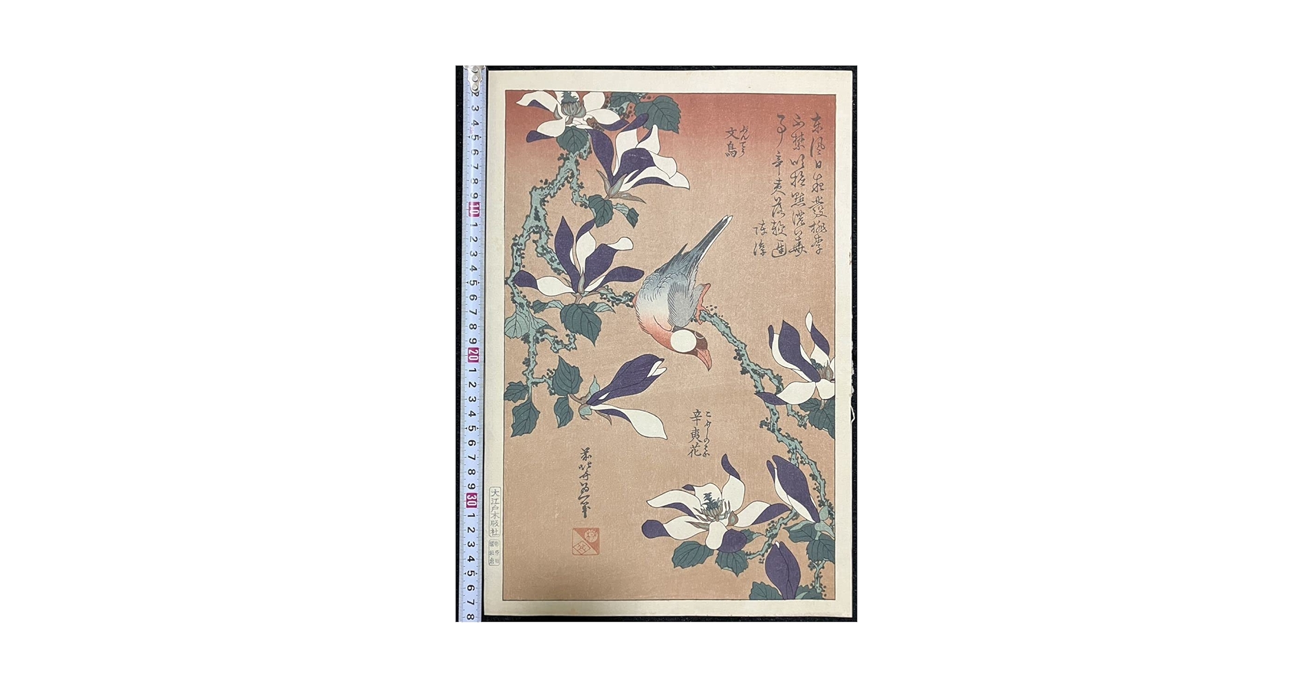 Amazon.co.jp: 復刻版 葛飾北斎「文鳥 辛夷花」大江戸版 花鳥画