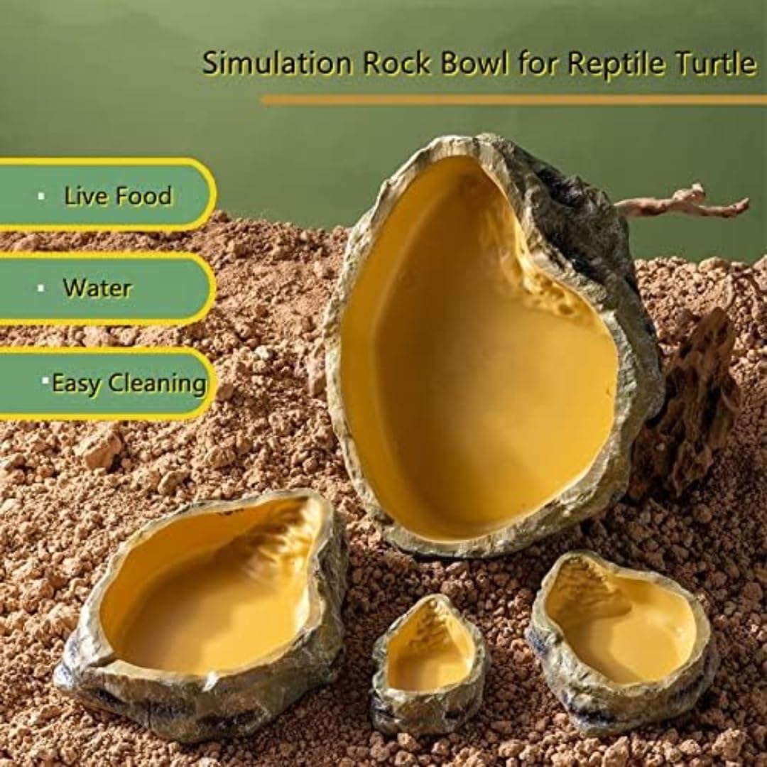Bol À Eau Pour Terrarium, Accessoire Pour Tortues, Reptiles, Serpent, Gecko, Nourriture