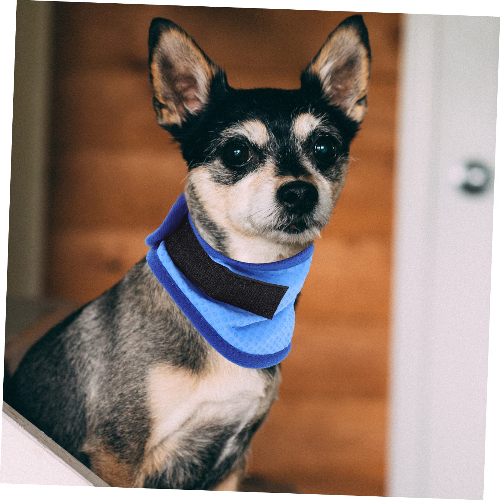 BESPORTBLE 5stücke Pet Cooling Towel Für Hunde Atmungsaktives Kühlhalsband Bandana Für Heiße Tage Triangular Design Für Optimale Abkühlung Für Outdoor-aktivitäten Mit Punkten