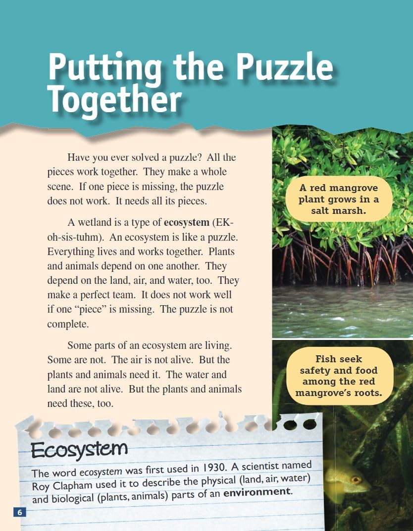 Wetlands: Biomes and Ecosystems (Science Readers) - Image 6