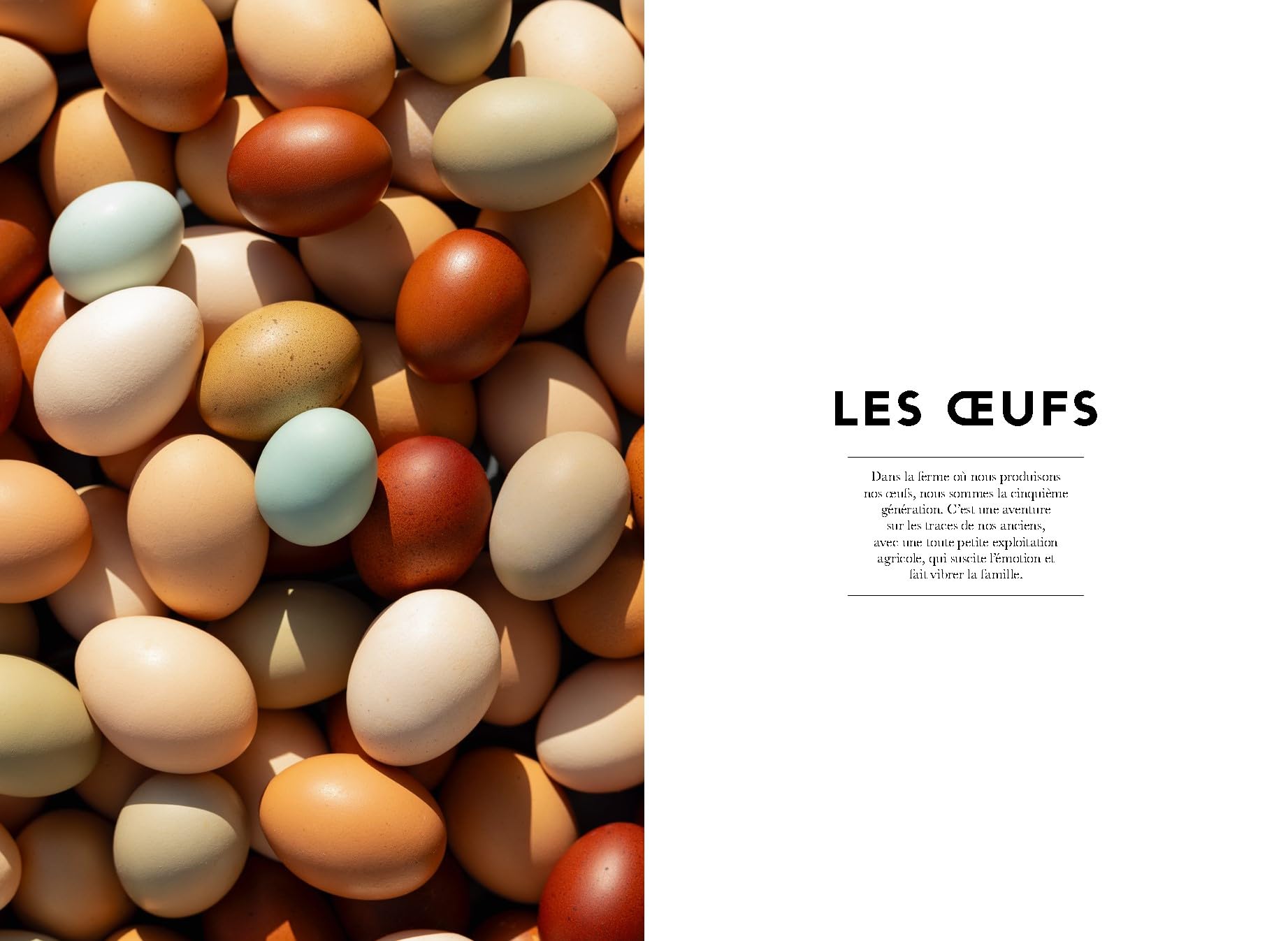 Plein Coeur: La pâtisserie, la terre, les hommes : 60 recettes et reportages de notre terroir