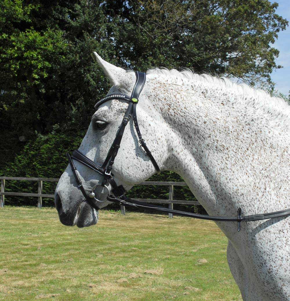 Rhinegold Anatomic Bridle - Extra Full - Black