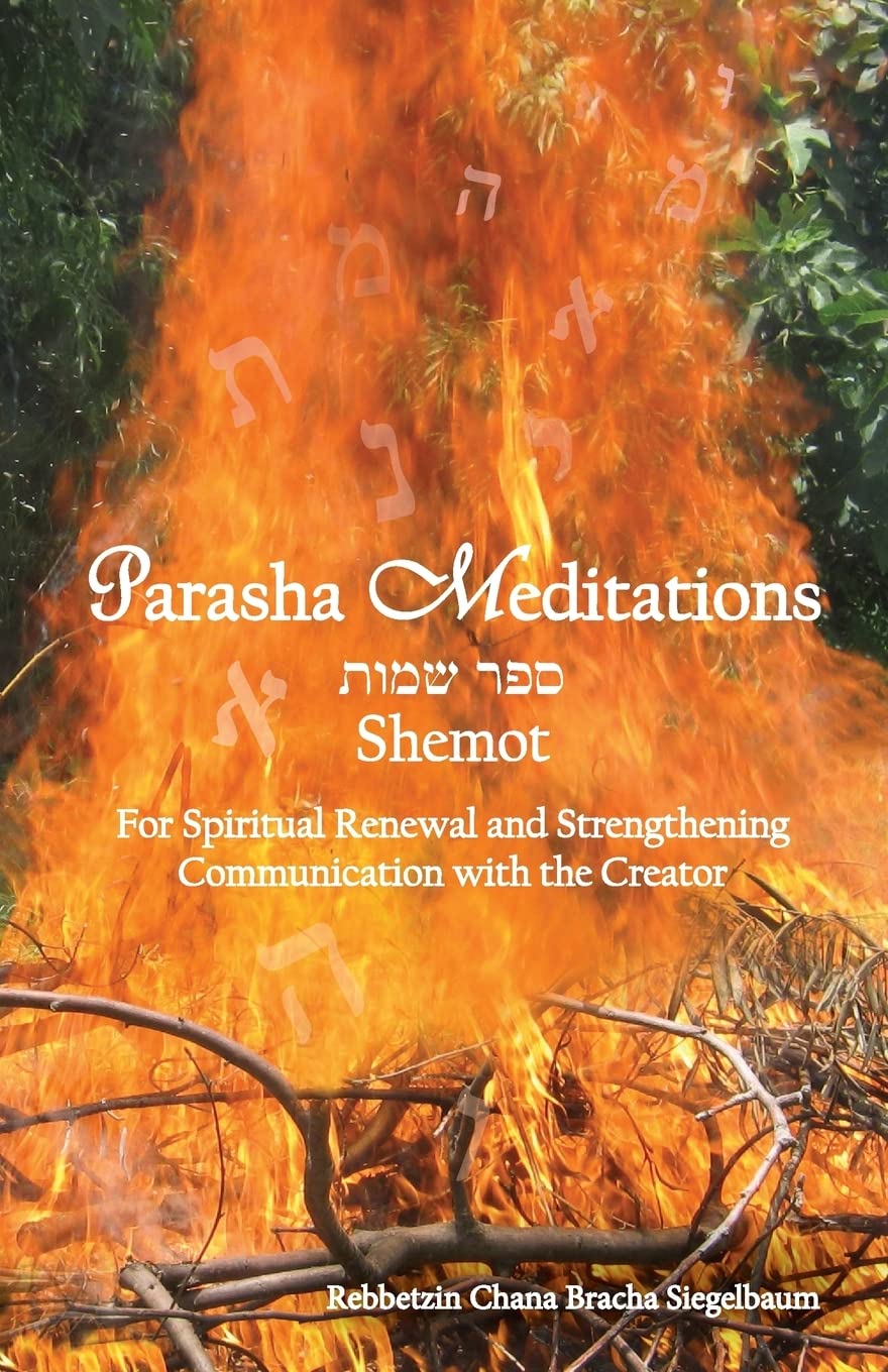 Parasha Meditations: Shemot - Internalizing Healing Transformation: For Spiritual Renewal and Strengthening Communication with the Creator: Volume 2