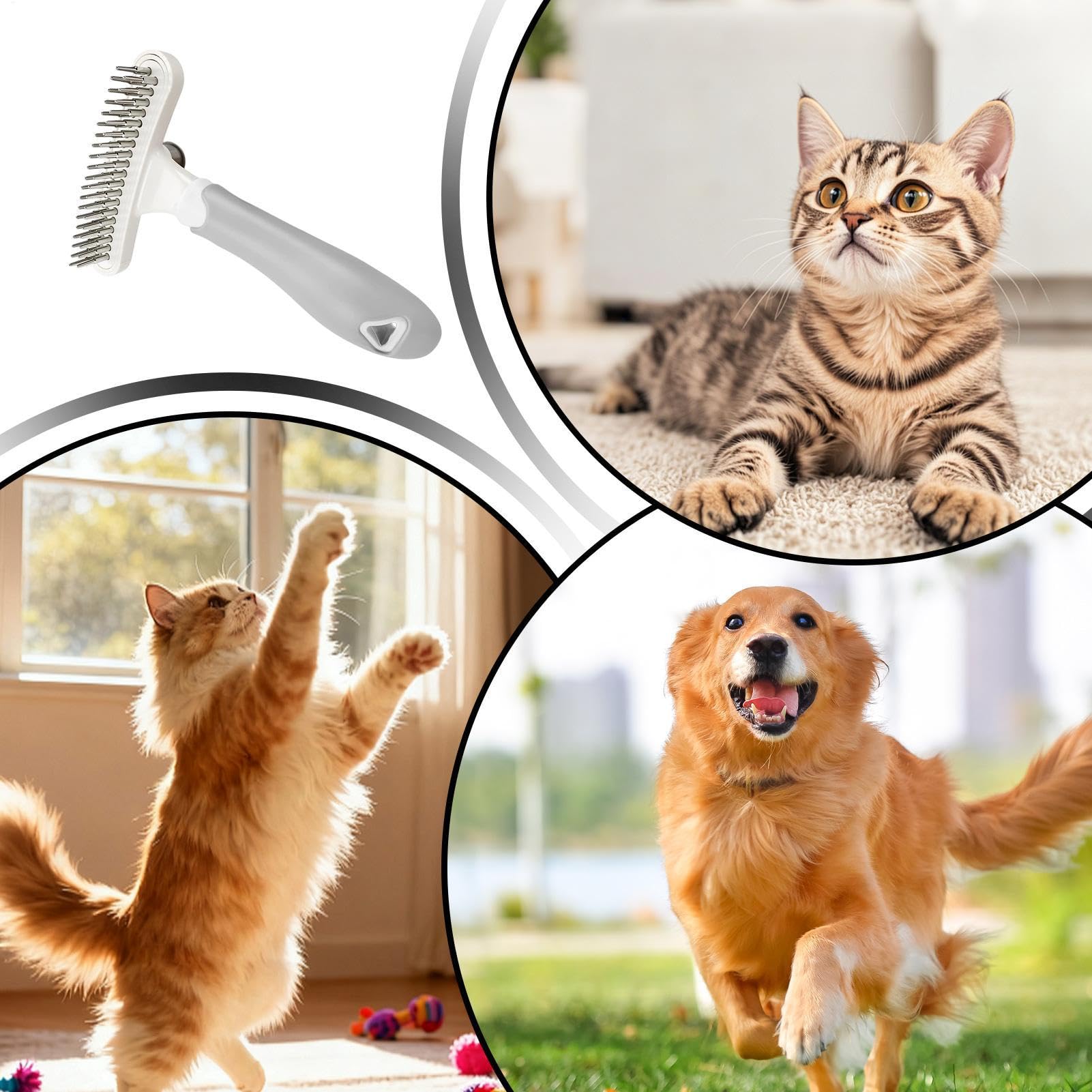 Hundehaar-Striegel | Edelstahl Ergonomisch Rostfrei | Enthaarungsstriegel für und Outdoor | für lange kurze dicke lockere Haare täglich Zuhause Indoor Reise