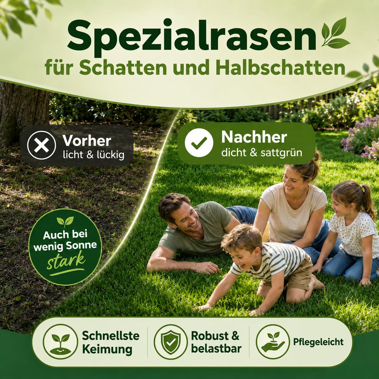 Schattenrasen Samen Rasensamen schnellkeimend Sommer 2,5 kg = 75 m² | Grassamen schnellkeimend für schattige Flächen | für Rasen Nachsaat | SEHR GUT getestet | Inkl. Rasensaat Anleitung