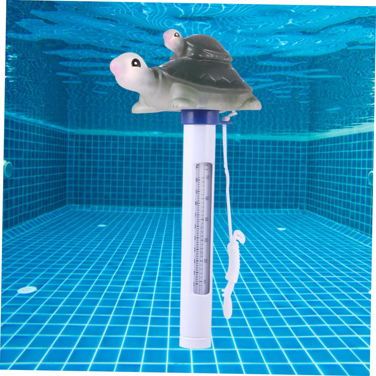UPKOCH 3 Pezzi Termometro Galleggiante per Forma Monitor Della Temperatura per Piscina e Bagnetto