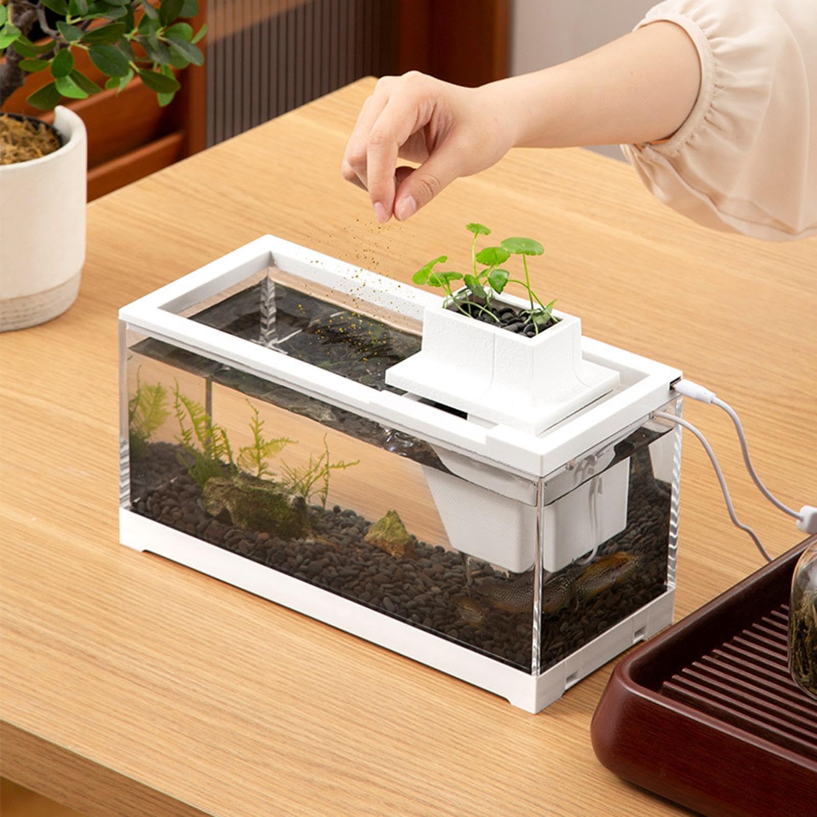 Acuario de Escritorio, pecera de Escritorio Acuario pequeño, Abierto, | Acuario de escritorio Mini pecera transparente para escritorios, mesas, estante