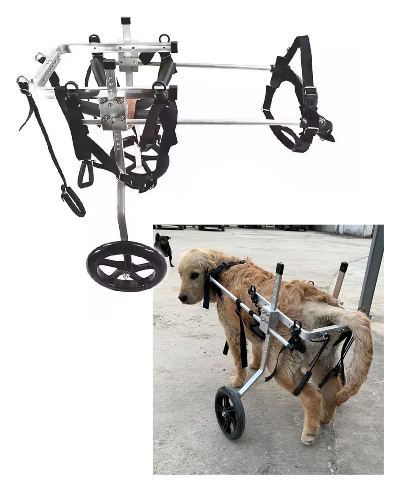 Fauteuil roulant pour chiens de grande taille tout-terrain avec support XL