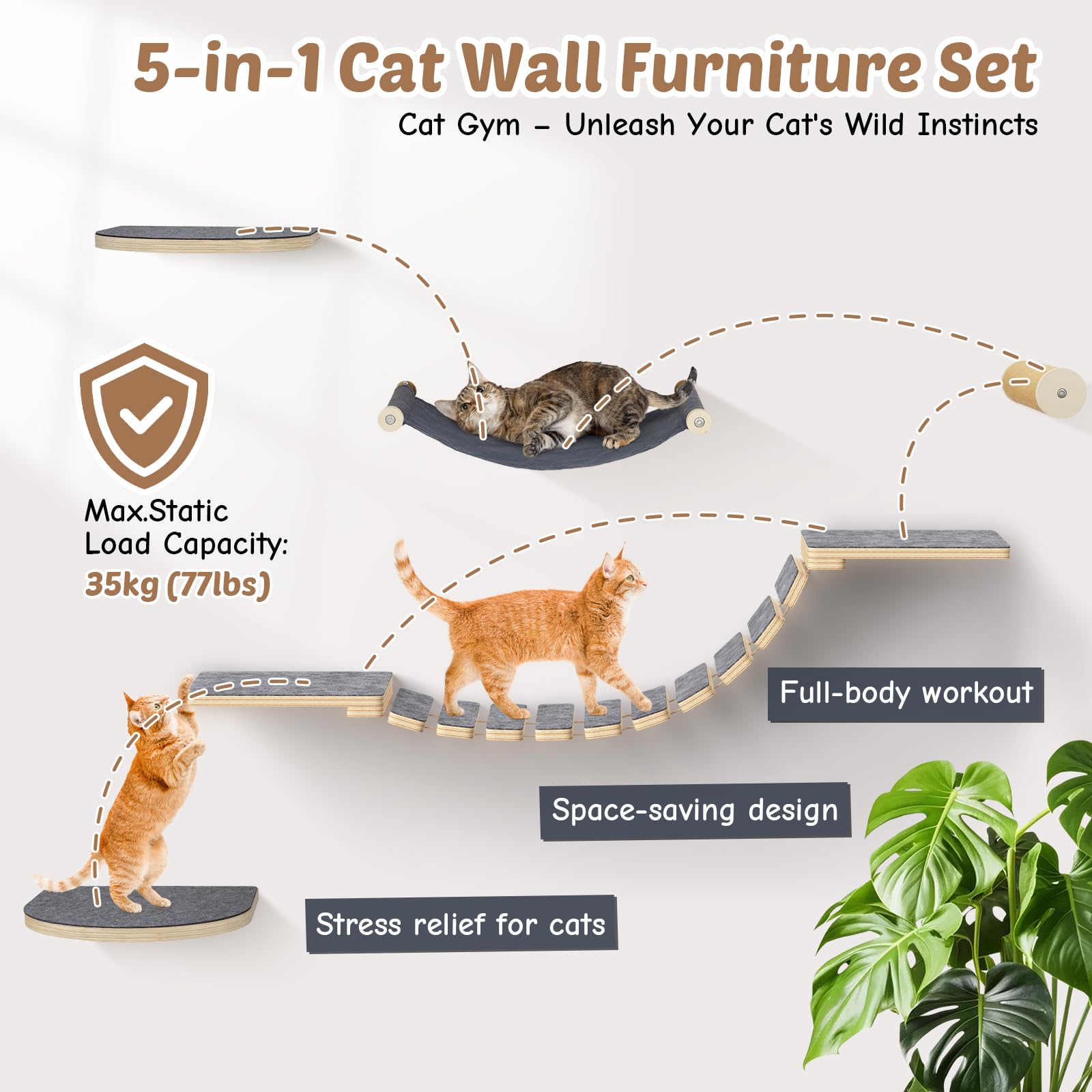 Set da parete modulare per gatti – in legno di betulla | 5 in 1 elementi da parete per gatti e passerella | Portata massima 35 kg | Montaggio semplice fai da te
