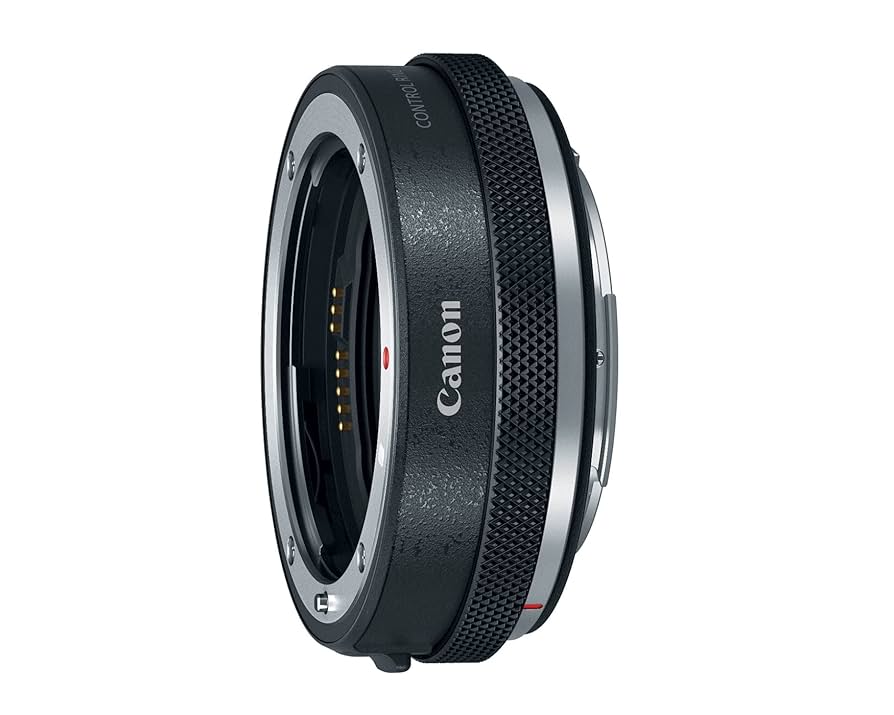 Amazon.com : Canon Mount Adapter EF - EOS R, Compatible with