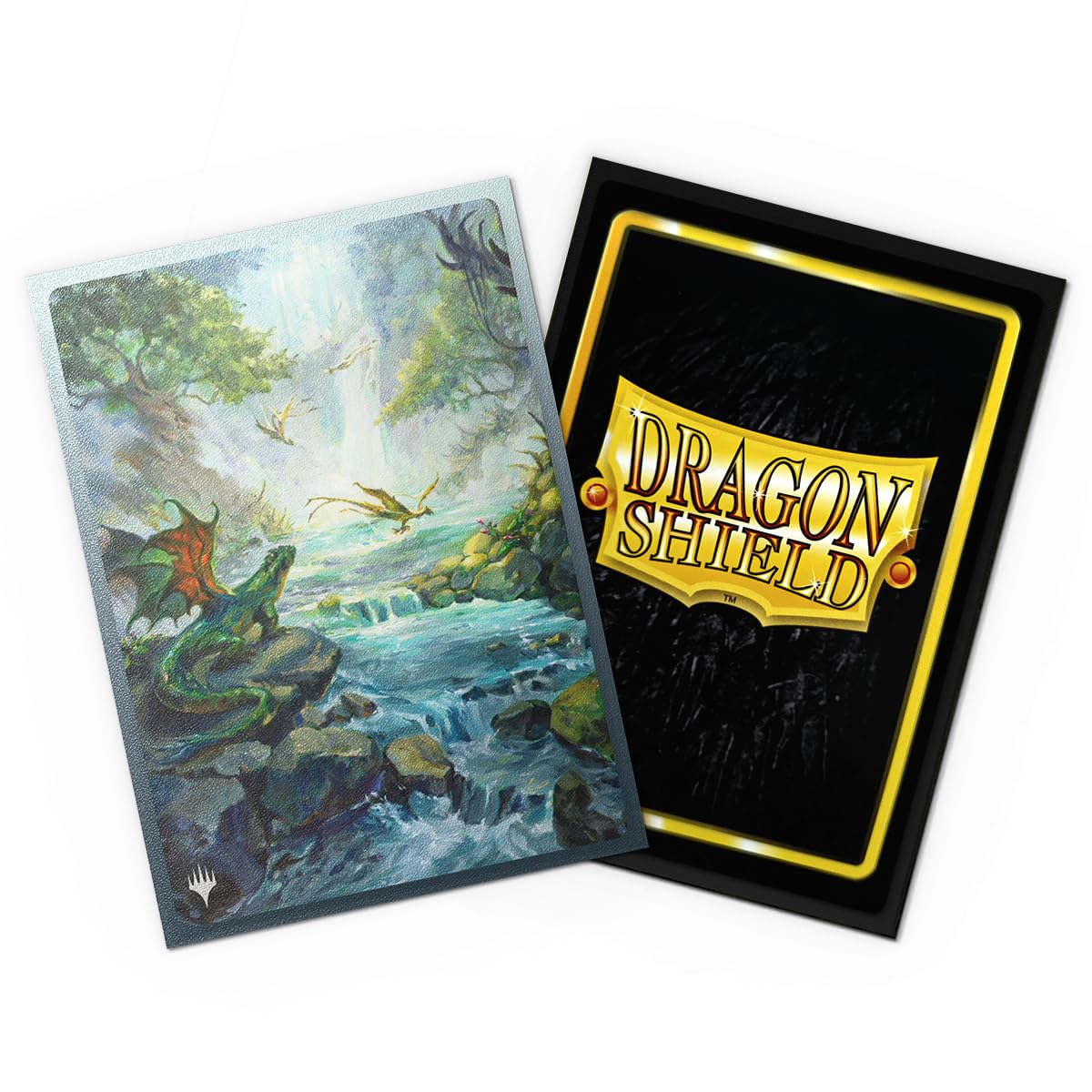 Dragon Shield | Matte Dual Art Sleeves | 100 CT - Smooth & Tough