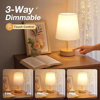 Touch Lamps Bedside, Table Lamp for Bedroom with Dual USB Charging Ports [Energy Class F]