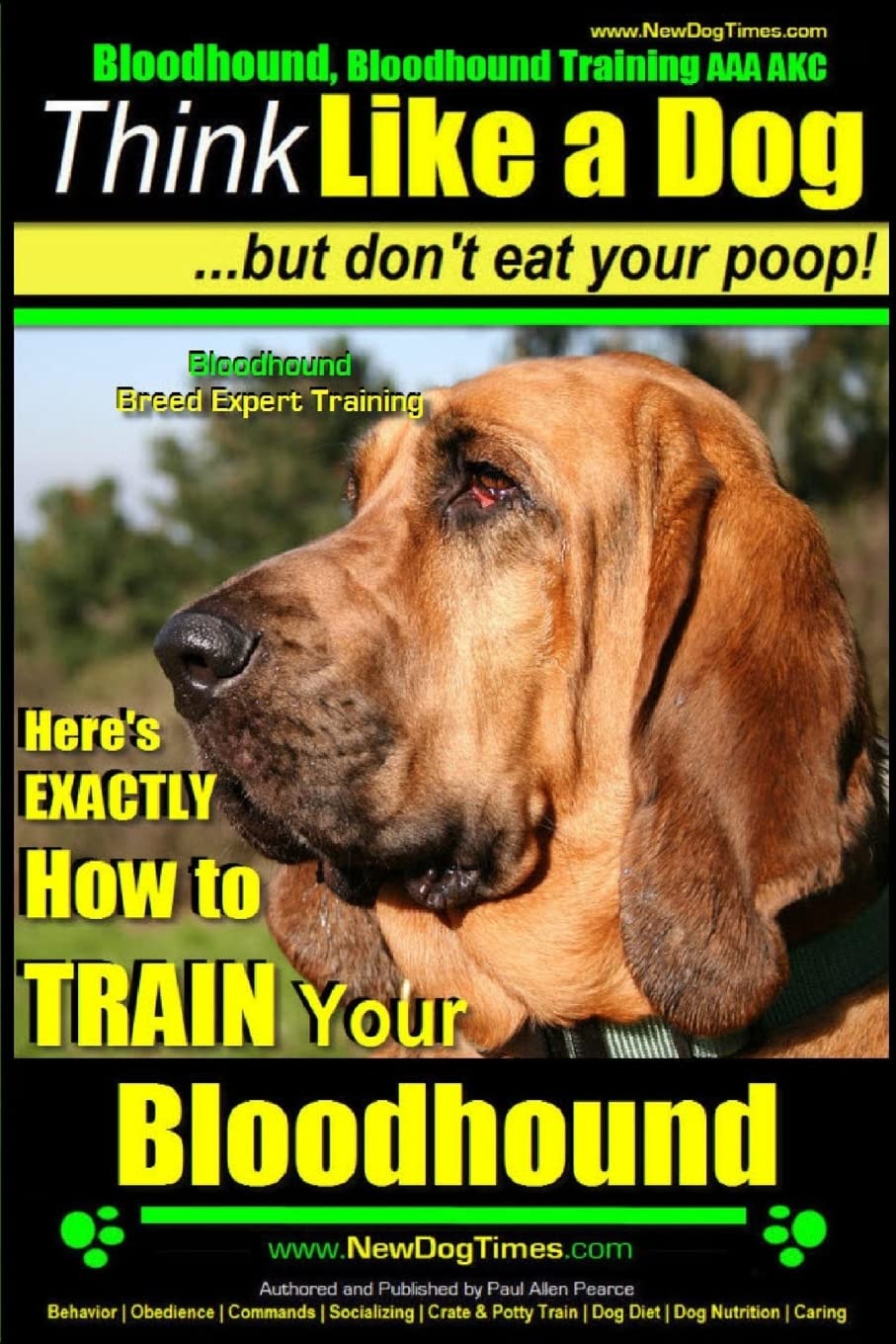 Bloodhound Bloodhound Training Aaa Akc Think Like A Dog Dont
