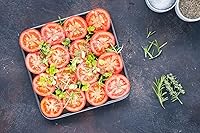 Vista 4 de Master Class Bandeja cuadrada antiadherente para hornear de 10.2 in/10 Ideal para hacer rollos suizos, flapjacks, pasteles, asar o asar