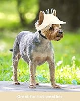 Vista 7 de Sombrero para perros pequeños y medianos, sombreros para perros hembras y machos, sombrero ajustable para perro, sombrero de sol para cachorros