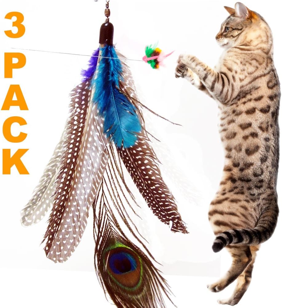 Pets Can Play 3 Pack Super Guinea Fowl Peacock Feather Replacement Refills! Compatible with Da Bird, Go Cat, Bird Catcher PRO Wand Teaser Toys