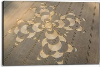 Crop Circle cornfield near Mammendorf Bavaria Germany Canvas Wall Art Decor Framed Photo Prints Picture Poster For Bathroom Bedroom Kitchen Living Room Office Artwork Paintings 20x30
