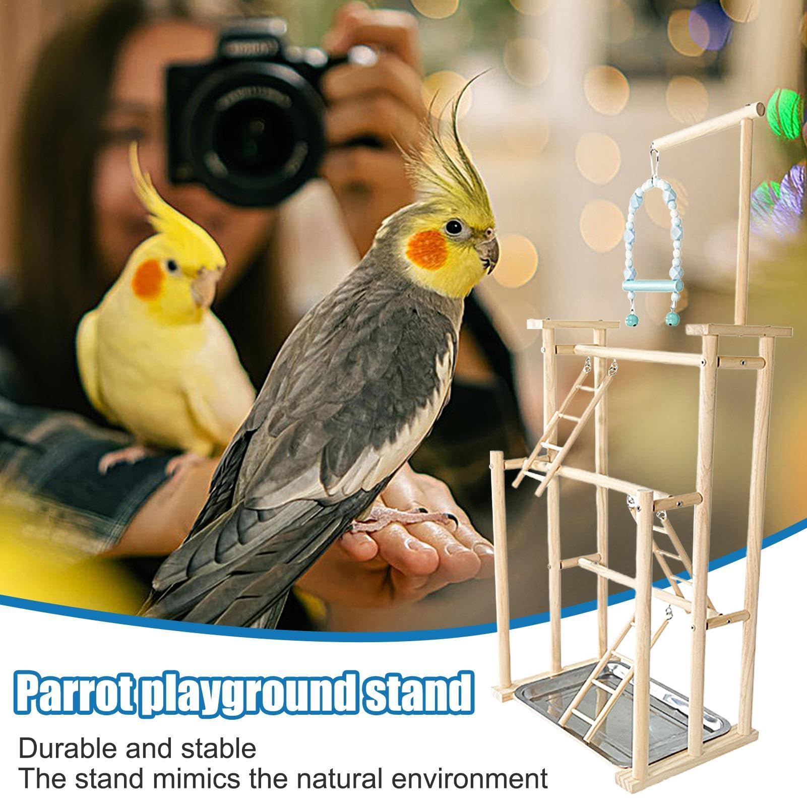 Parco giochi per pappagalli, supporto da palestra in legno, supporto per palestra, supporto per uccelli, pappagalli, parrocchetti, piccioncini, pappagallini, conures | palestra, supporto per uccelli, pappagalli, parrocchetti, piccioncini, pappagallini, co