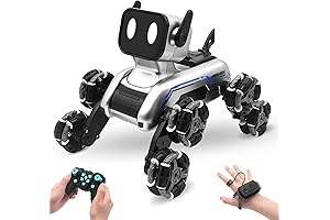 Gray RC Balance Gift Car: The Perfect Toy for Kids