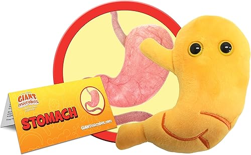 Miniatura 2 de GIANTmicrobes - Peluche estomacal  Juguete anatómico de órgano, regalo de recuperación de cirugía bariátrica, regalos de bypass gástrico, manga