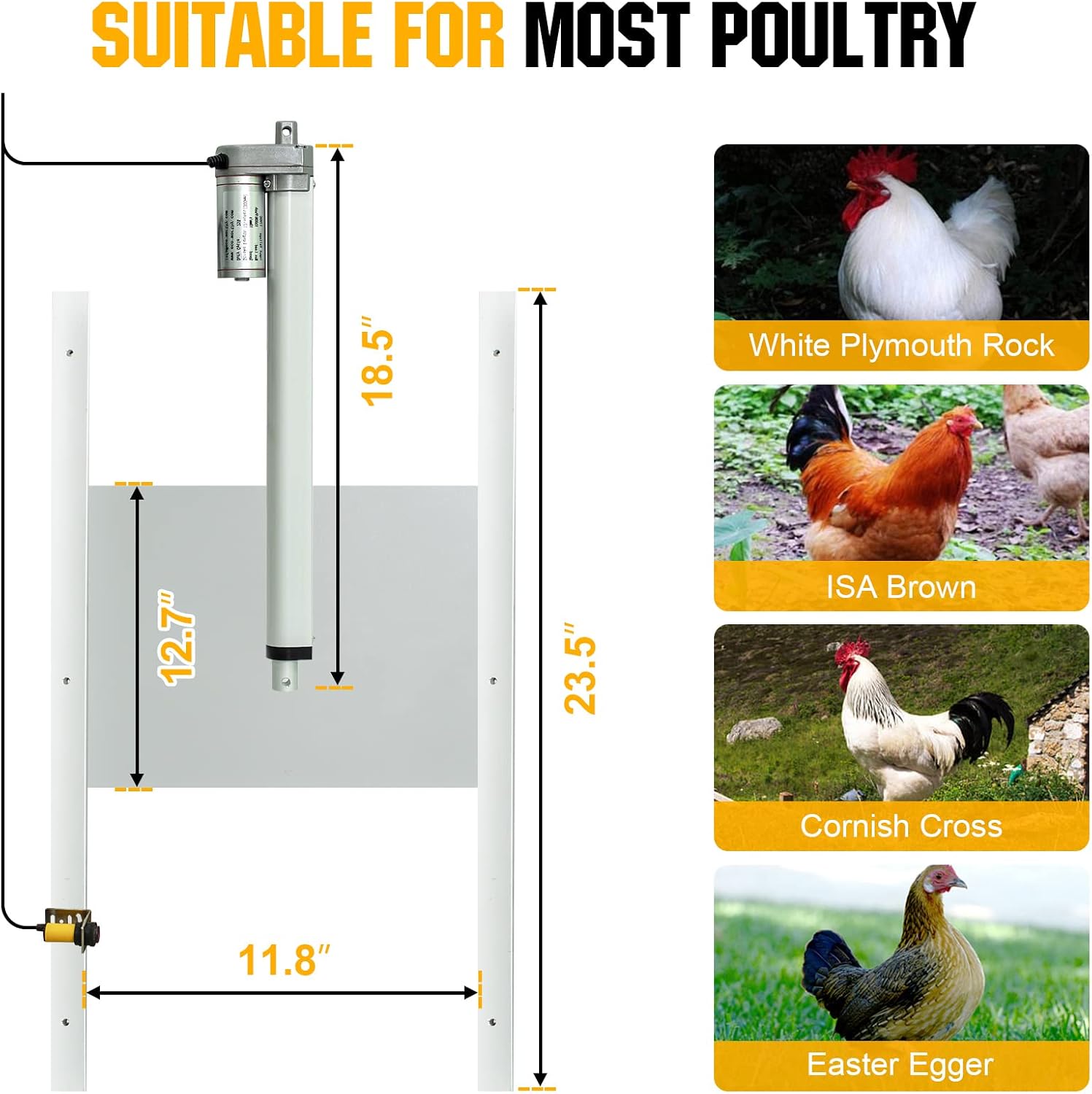 Dimensions of the automatic chicken coop door