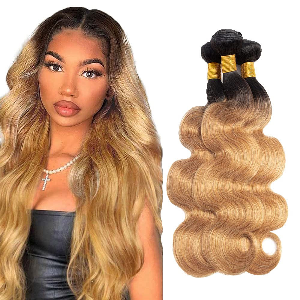 1b27 Body Wave Bundles Ombre Human Hair 1b27 Bundles 8 10