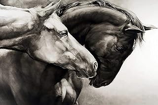 Amazon Co Uk Jigsaws Horse Jigsaw Puzzles Jigsaws Puzzles Toys Store