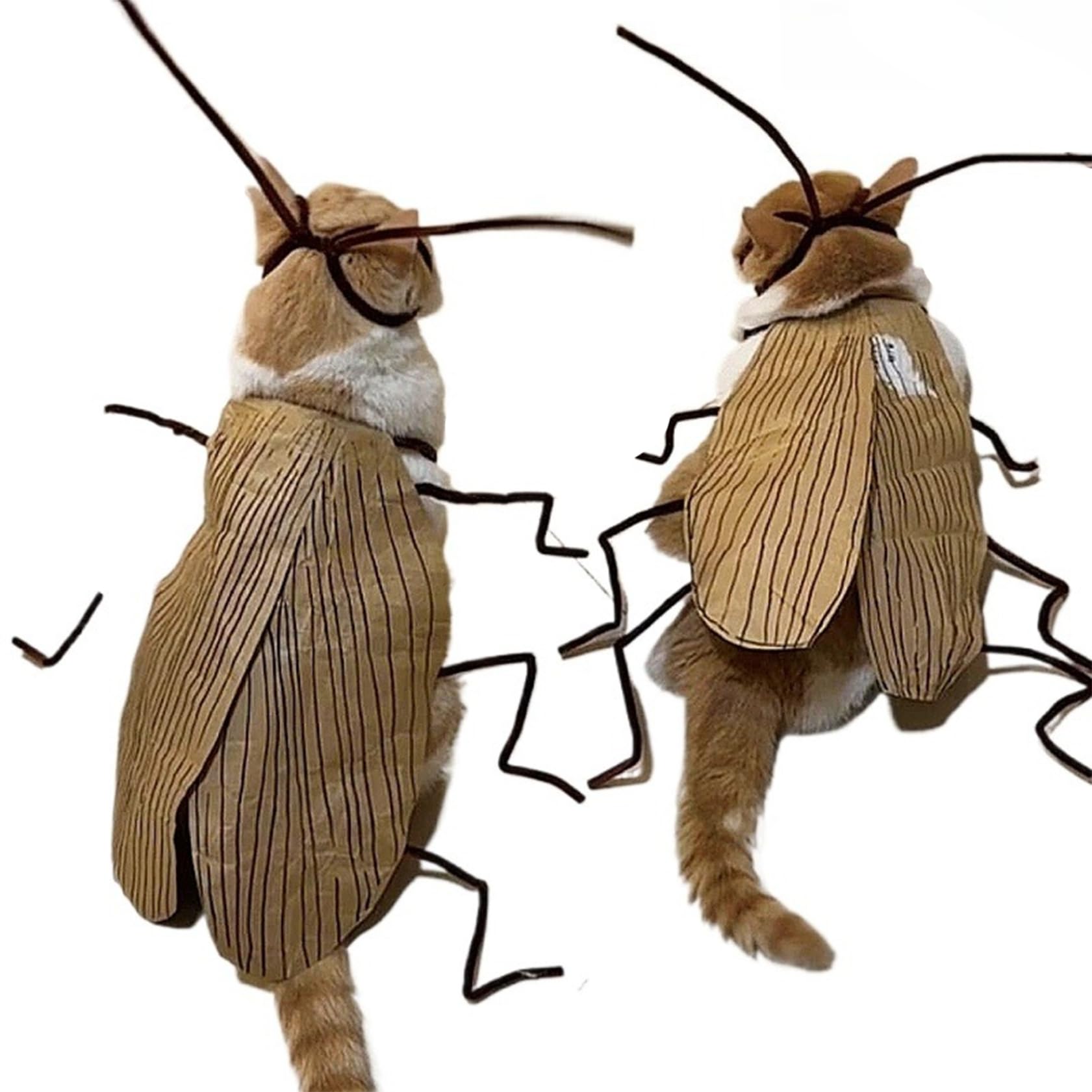 Cat Cockroach Clothing DIY Kit, 2 Sets Funny Cat Costume with Roach & Antenna, Halloween Cosplay Outfit for Cats & Small Dogs, Kitten Lovers