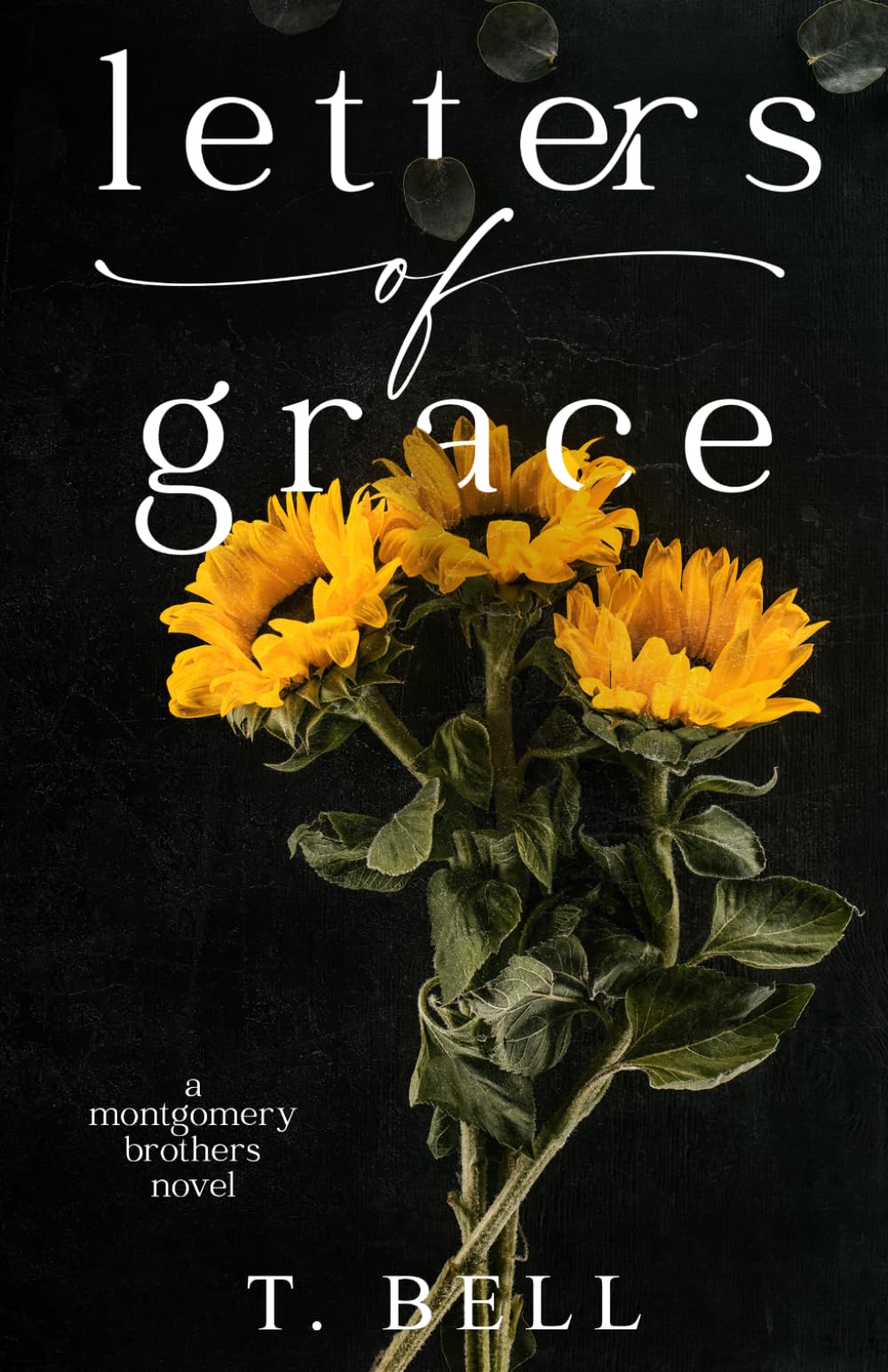 Letters of Grace: A second-chance romance: 1 (The Montgomery Brothers)