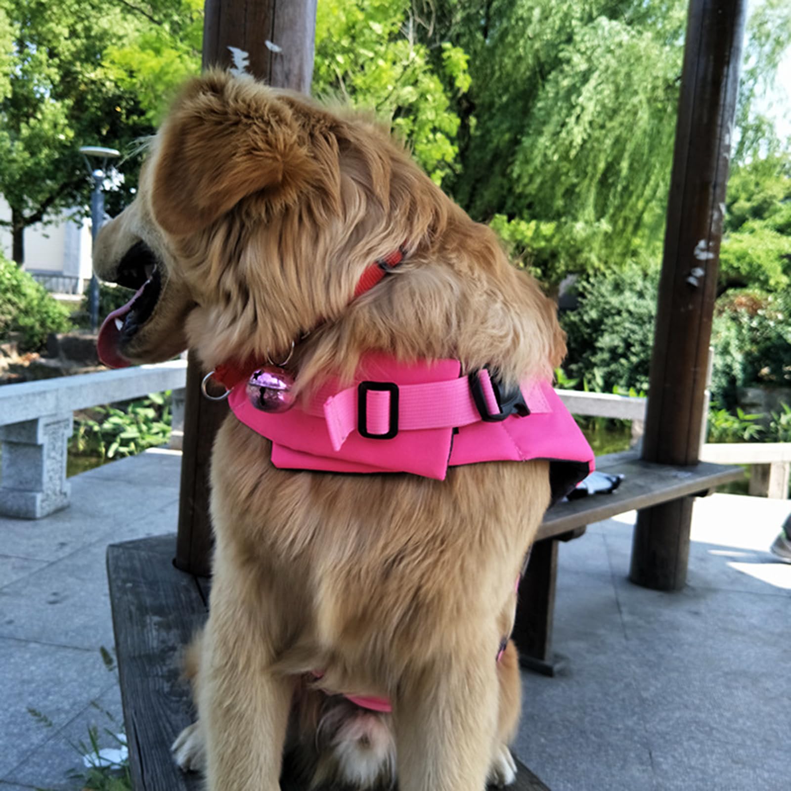 Gilet de Sauvetage pour Chien Ripstops, Gilets de Sauvetage Mignons, vêtements de flottabilité pour Animaux de Compagnie, Natation, Bateau, Requins, Manteau de Sauvetage pour Chien avec poignée de
