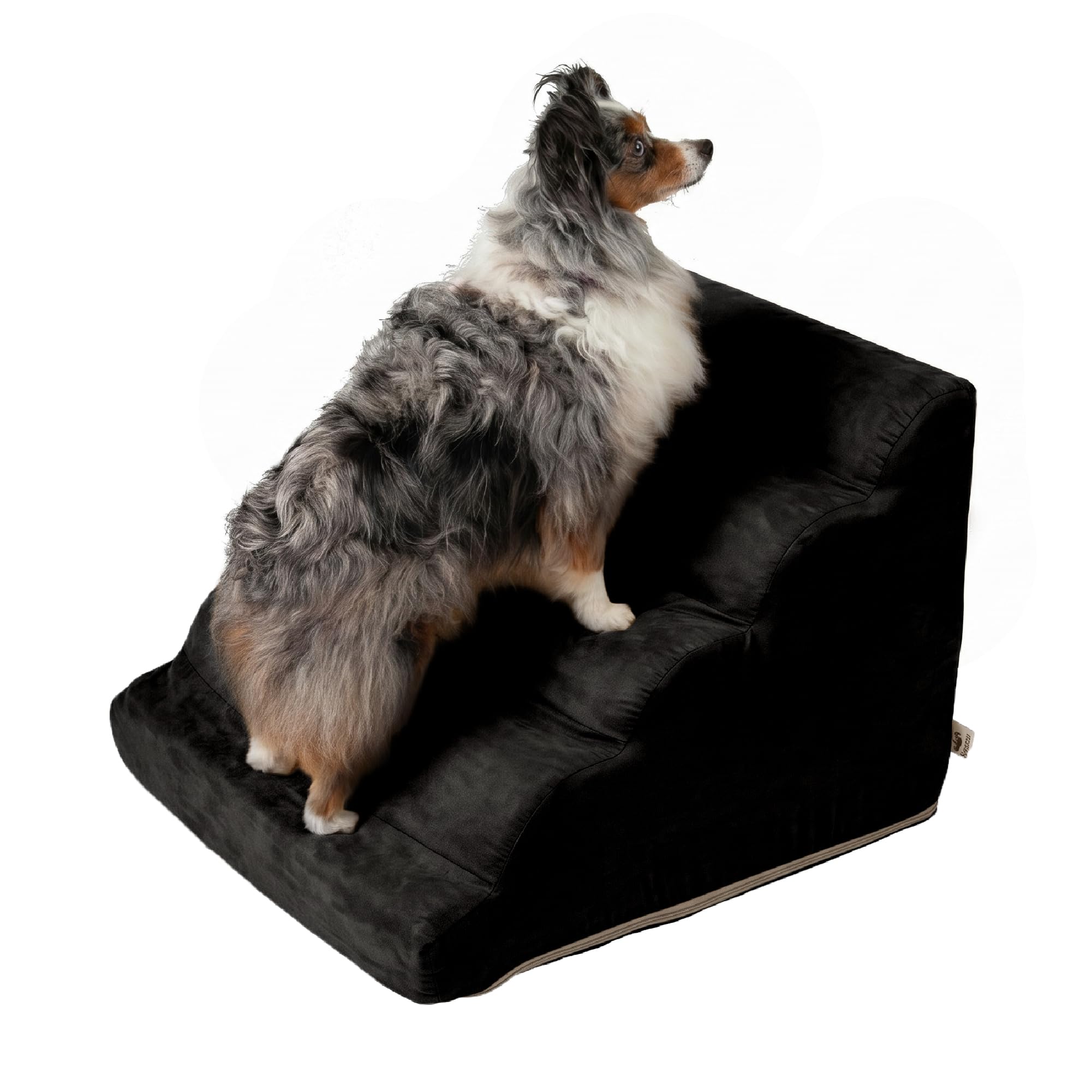 Snoozer Scalloped Dog Ramp, 17.5” Tall Foam Pet Stairs, 4 Steps, Black