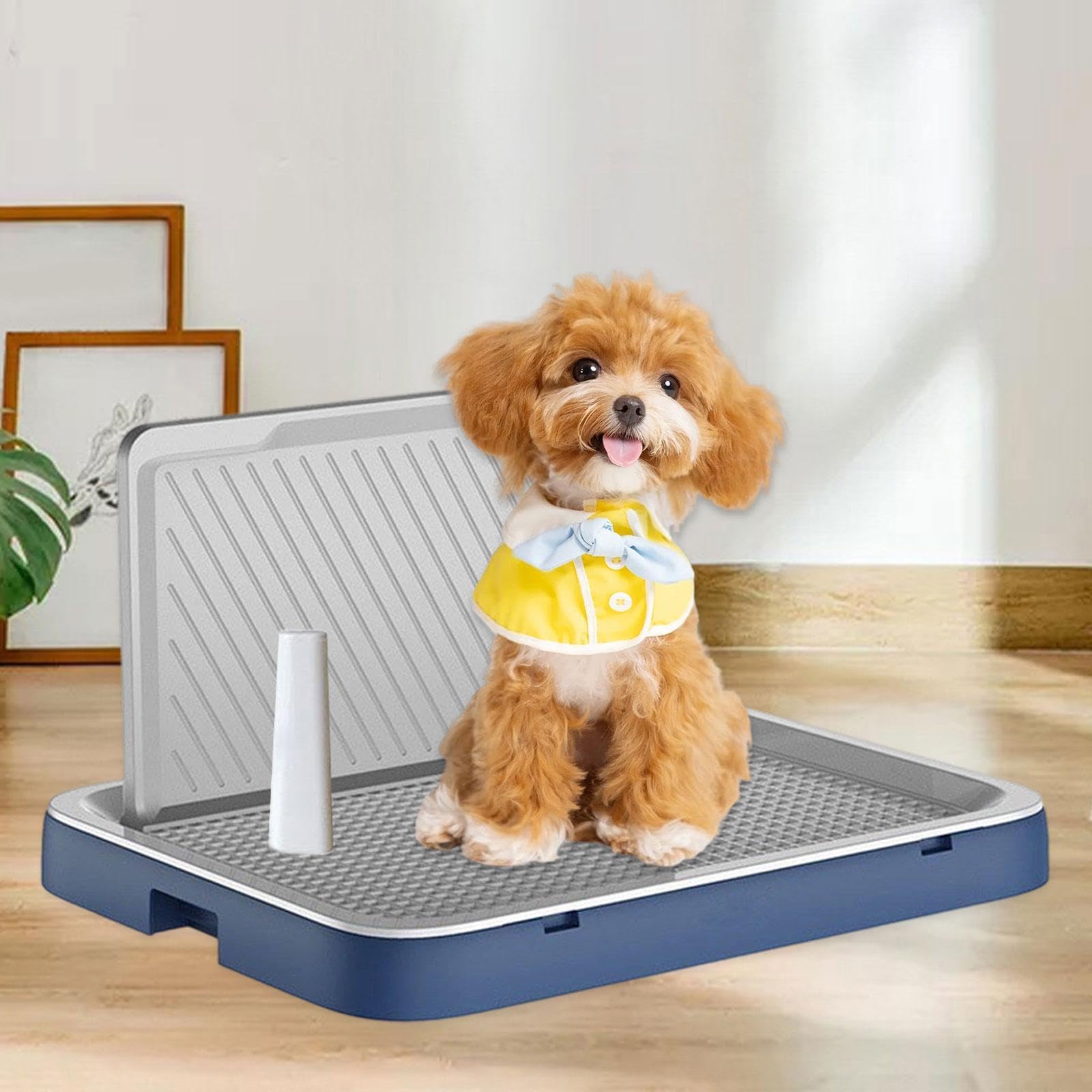 Vassoio per WC per Cani, Porta-trasportino per WC, Padella per WC con Parete Alta, lettiera per Animali Domestici, per Interni ed Esterni, per, Blu