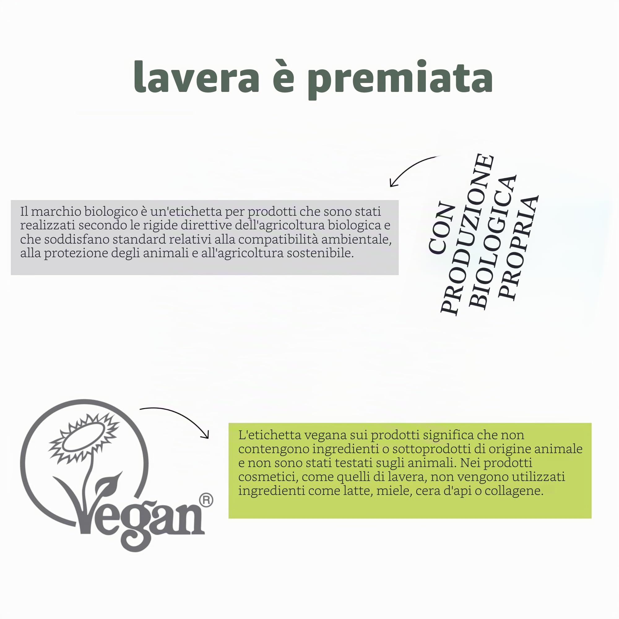 lavera Re-Energizing Sleeping Cream – rinnovamento naturale delle cellule – rivitalizza la pelle – idratante – vegano – Cosmetici naturali – 50 ml