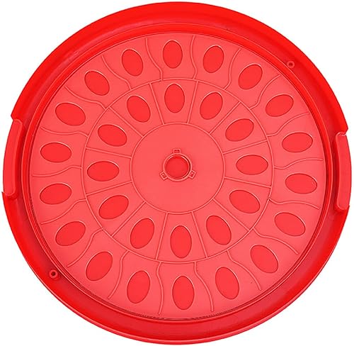 Miniatura 6 de Incubadora de huevos transparentes, máquina para incubadora de aves de corral con control de temperatura y girador automático de huevos, incubadora