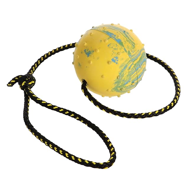 Pelota para Perro Dingo Nubby - Totalmente rellena de Goma, con Cascabel y Cuerda de 60 cm