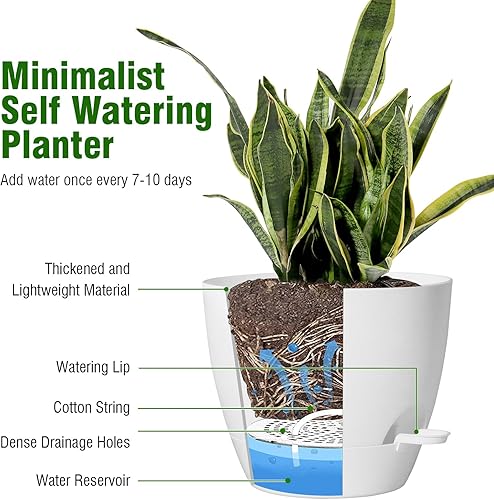 Miniatura 4 de Macetas grandes de riego automático, macetas de plástico 12109 con agujeros de alto drenaje y depósito profundo para plantas y flores de jardín de