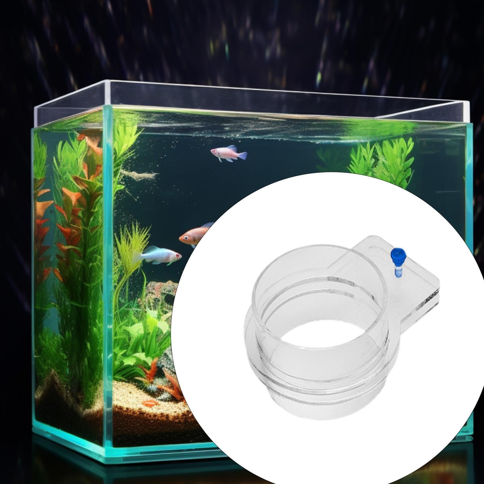 Comedero Acrílico para Peces, Anillo de Alimentación Transparente para Peces, Anillo de Alimentación Resistente para Acuario Colgante para Betta, 100mm