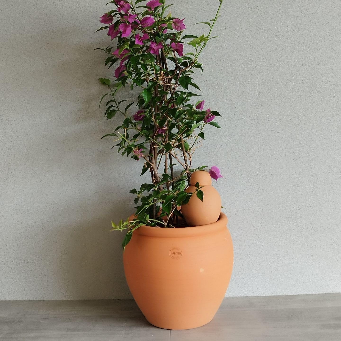Poterie Lutton | Duo Ollas Sabeur 0,40 L | Terracotta Nature & Blanc Émaillé | Arrosage Automatique Écologique pour Plantes d’Intérieur | Irrigation Ciblée Artisanale