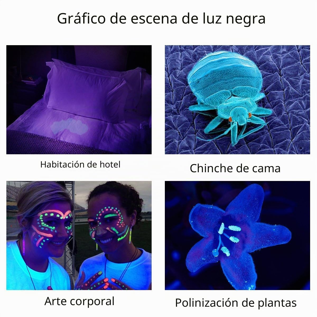 TATTU U3 Linterna UV 395nm Luz Ultravioleta recargable 10W Lámpara negra LED con Cable de Carga micro USB
