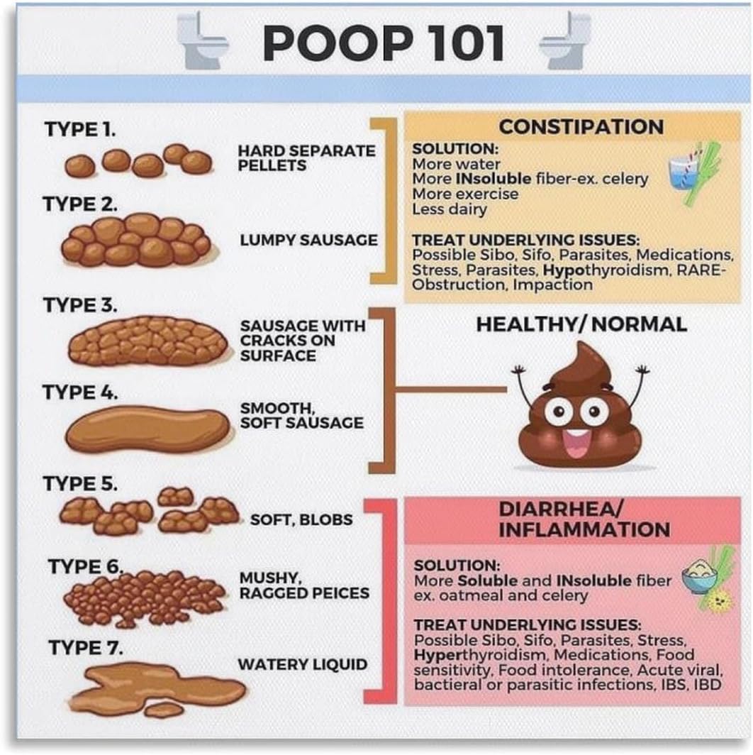 Amazon.com: Poop Chart Bristol Stool Chart Poster Stool Chart Canvas