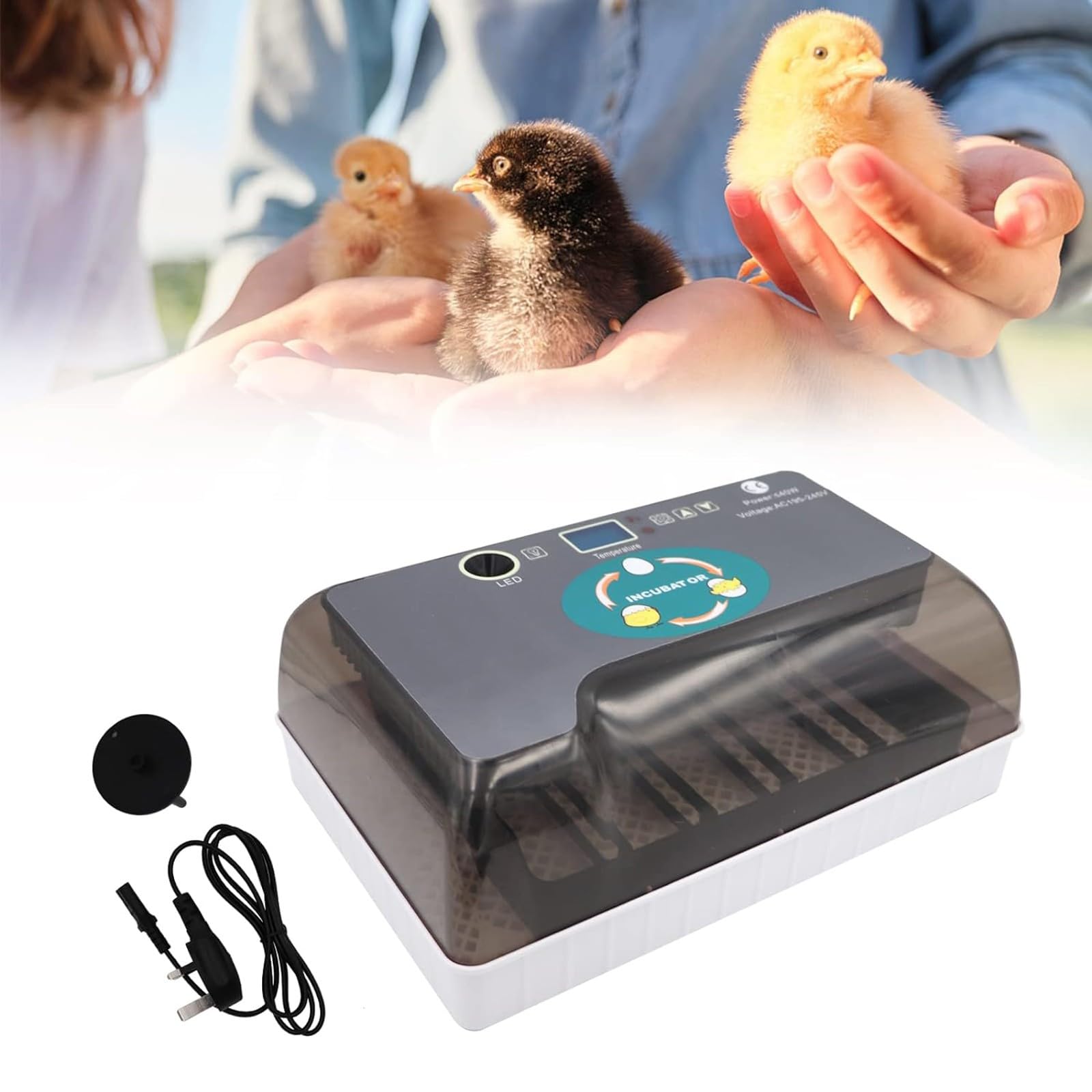 Incubatrice 12 Uova Incubatrice Uova di Tartaruga Allevatrice Rettili Allevatrice Termostatica Tartarughe con Girauova Automatico Coperchio Visibile Display LED Digitale(12 Eggs)
