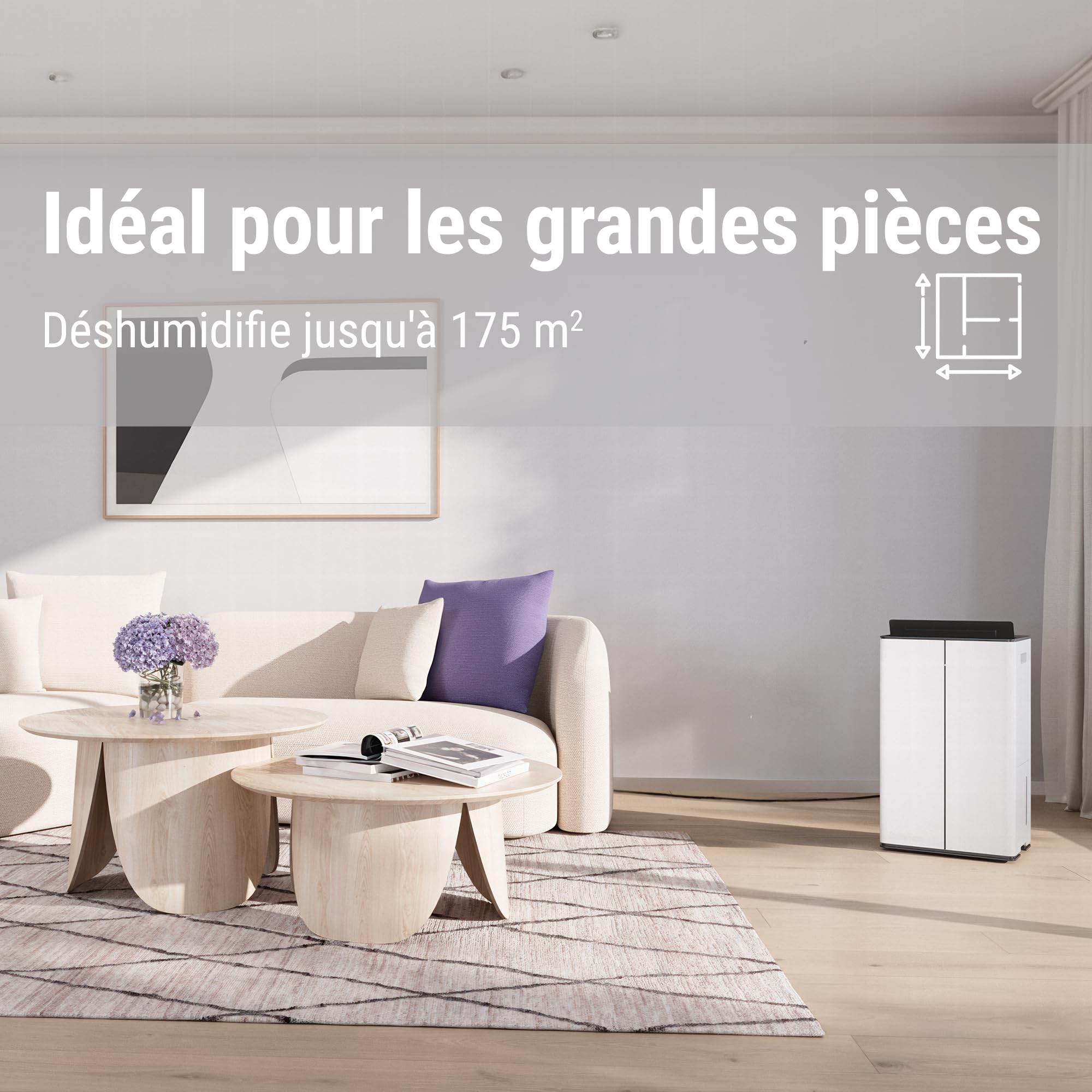 Stadler Form déshumidificateur et purificateur d’air Lukas Pro, 50 l / 24 h