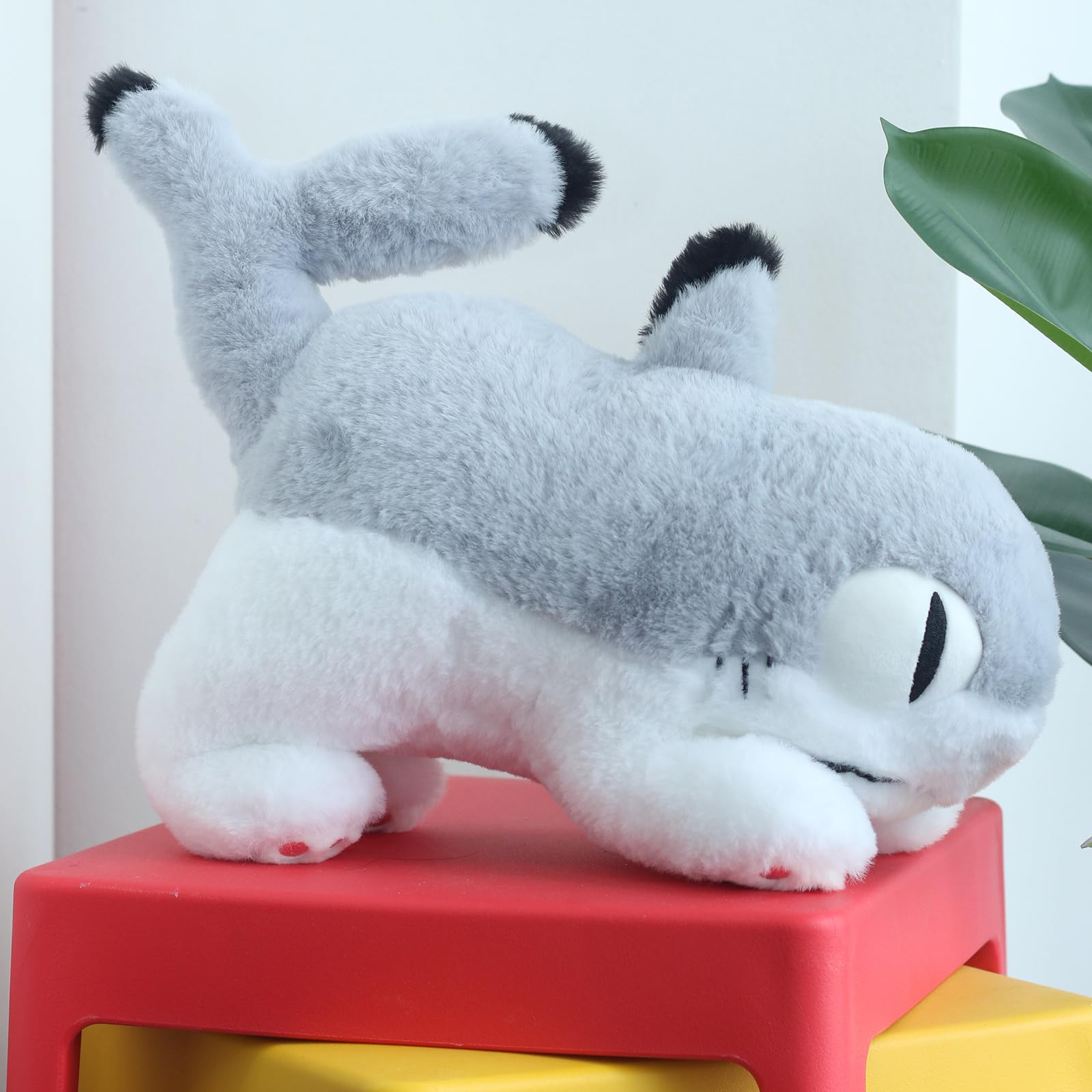 Amazon.co.jp: Sharkitty Yogin(シャーキティヨギン、オリジナル