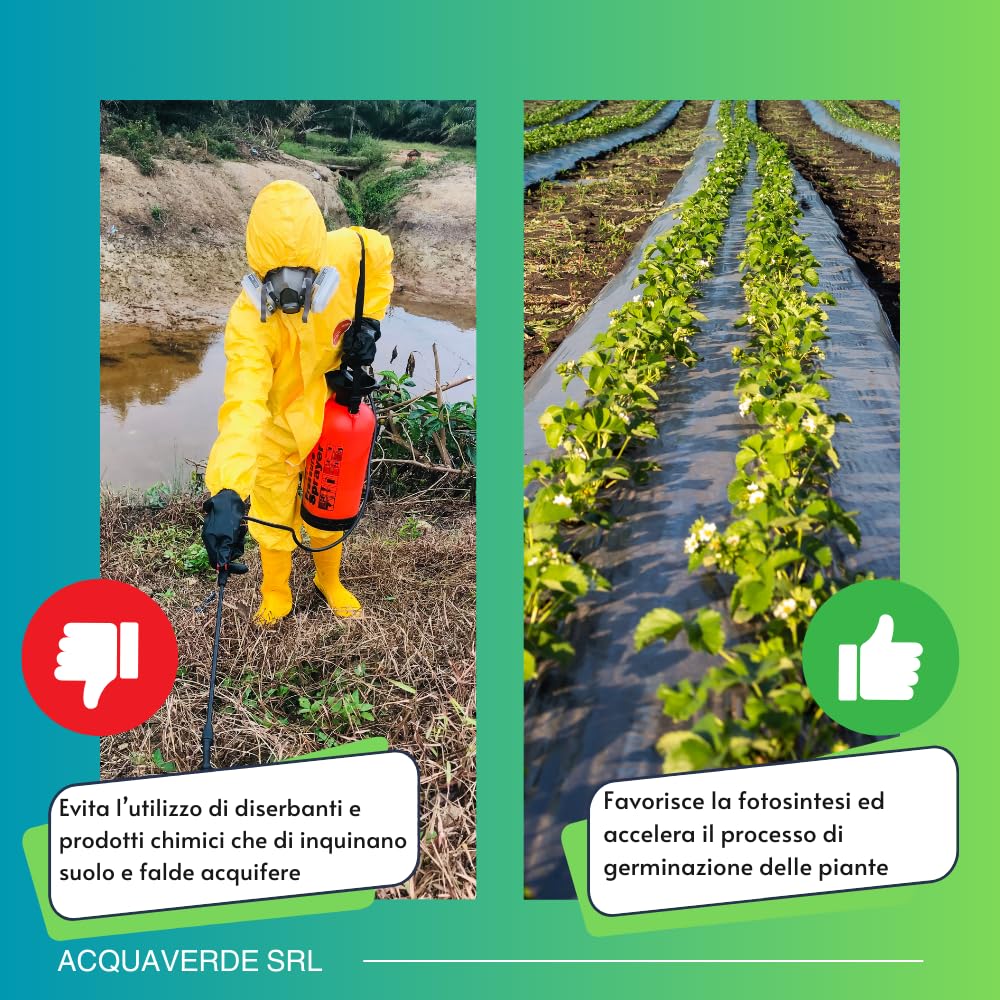 acquaverde | Telo Pacciamatura Antierbacce in Polietilene, Film Pacciamante Nero, Professionale, per Giardinaggio, Orto, Protezione Contro Erbacce, Resistente, Impermeabile (1 x 200 m = 200 m²)