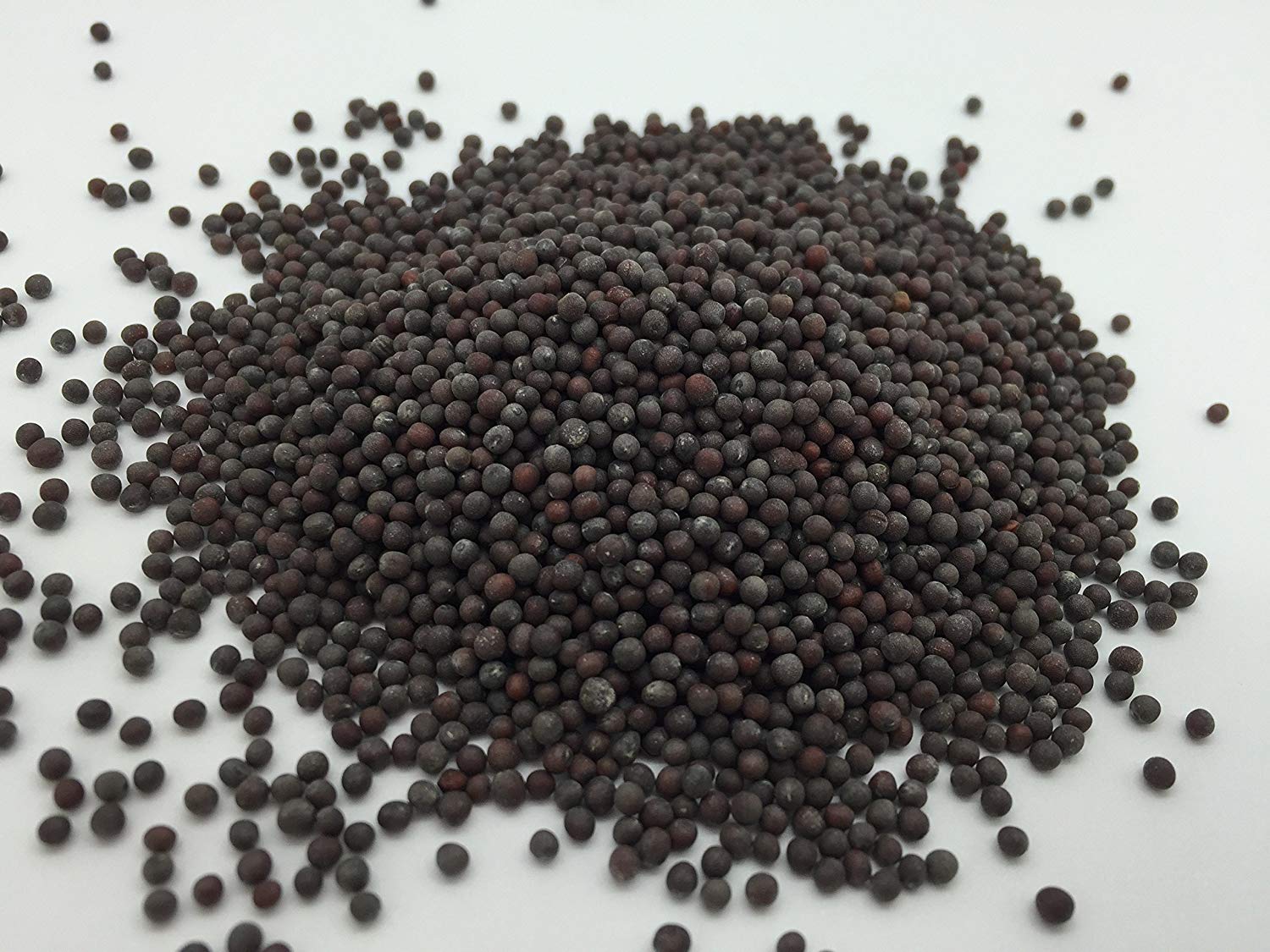 Earth Best 100% Natural Mustard Black Seeds Organic (Sarson Kali) 250 Gm