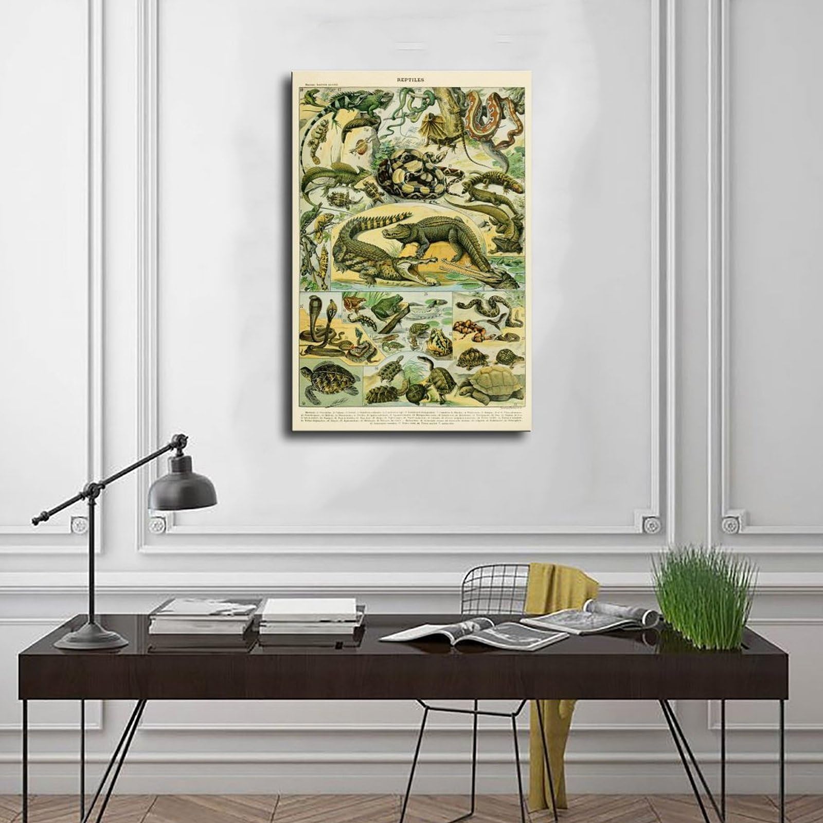 Reptilien-Kunst, Reptilien-Diagramm, pädagogisches Diagramm, Adolphe Millot Vintage-Stil, wissenschaftliche Illustration, Klassenzimmer, Wissen, Kunst, Leinwand, Wandkunst, Poster und Drucke, Raum